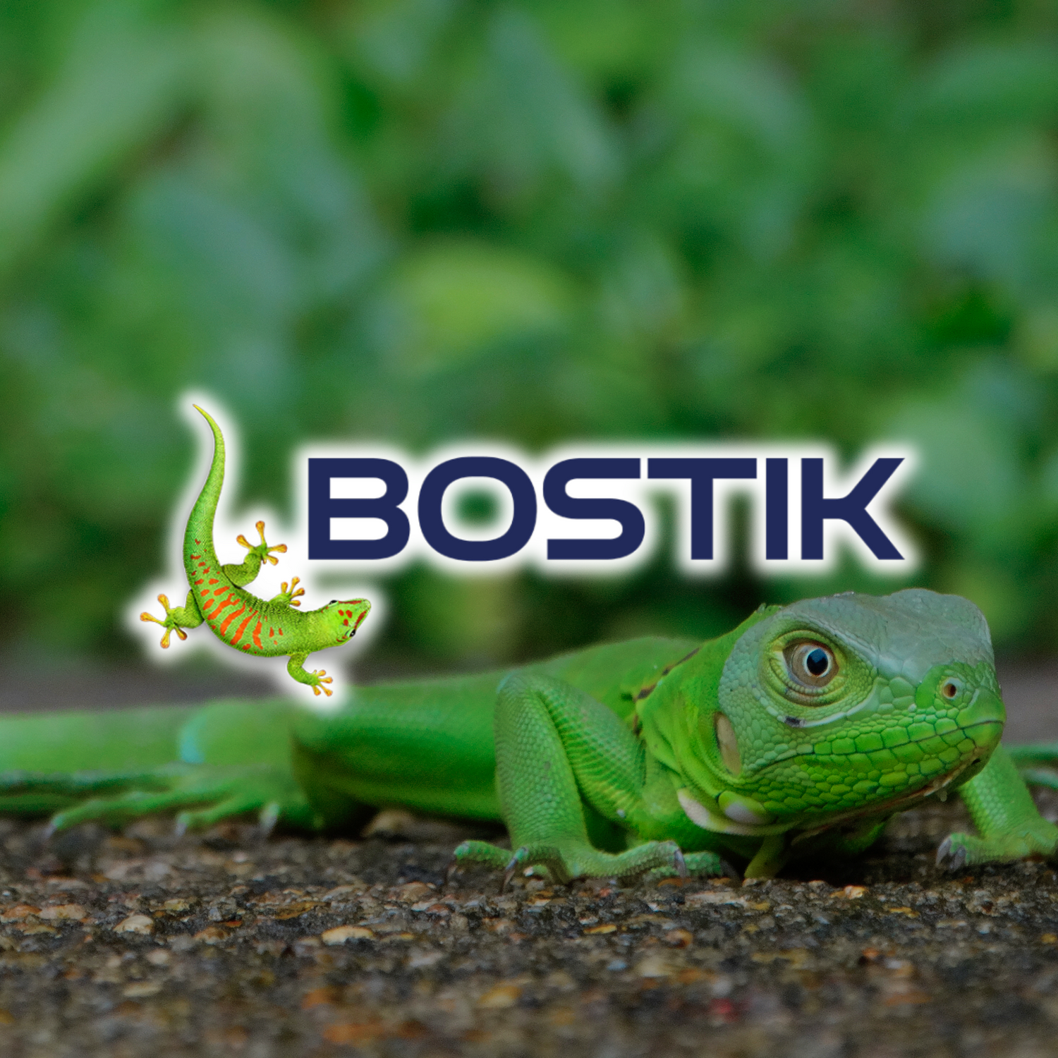 Bostik